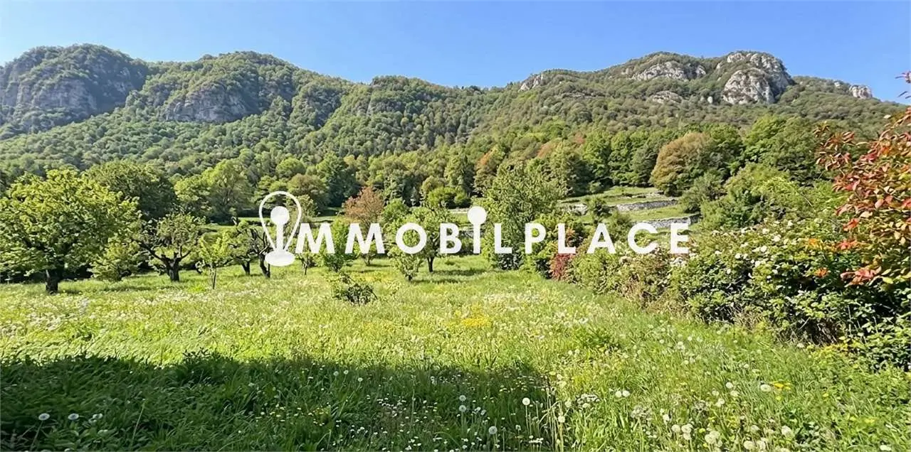 Sei alla ricerca di un’opportunità immobiliare?
