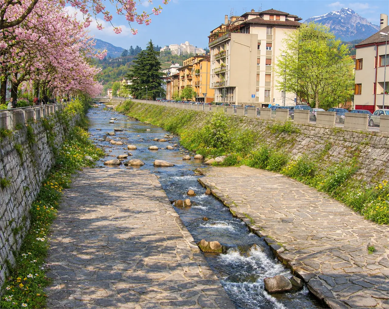 Ampio appartamento in zona Bolghera